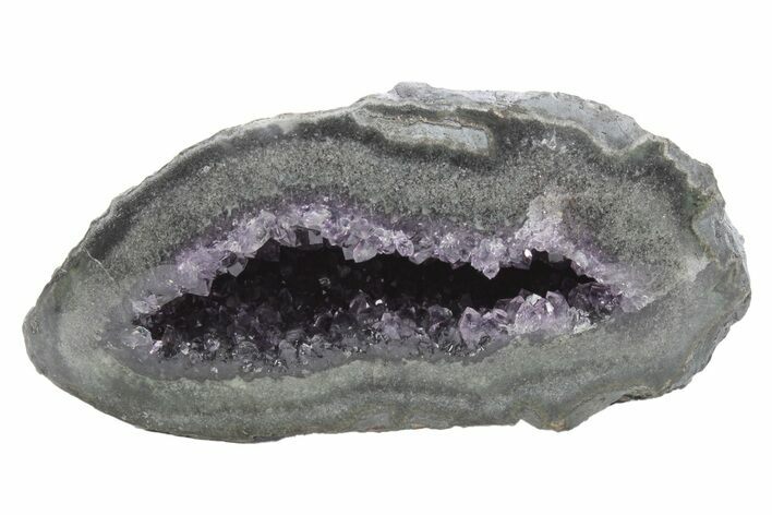 Purple Amethyst Geode with Polished Face - Uruguay #233598